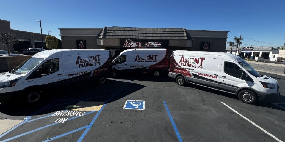 494580569_1266350185491236_7718986879696186472_n